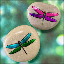 Metallic Dragonfly Rocks