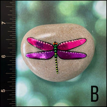 Metallic Dragonfly Rocks
