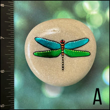 Metallic Dragonfly Rocks