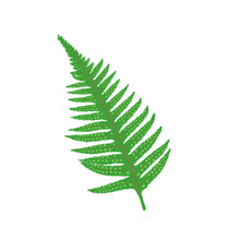 Fern Die Cut Sticker (3")