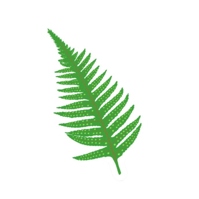 Fern Die Cut Sticker (3