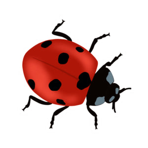 Red Ladybug Die Cut Sticker (3")