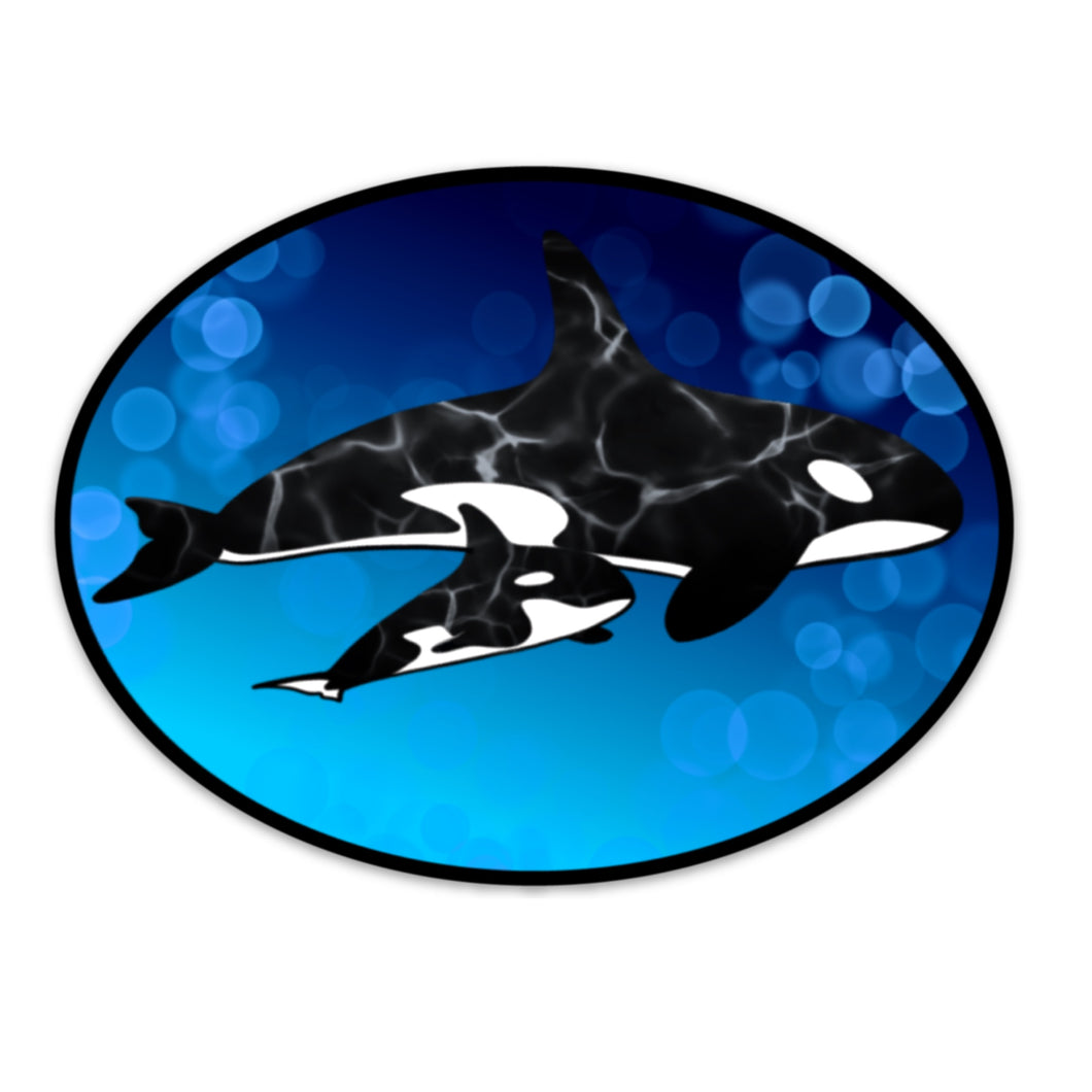 Orca Oval Sticker (5