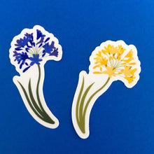 Purple Allium Die Cut Sticker (3" or 4")