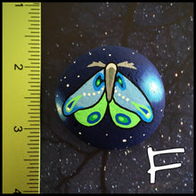 Moonlit Moth Rocks (Series II)