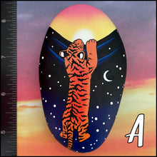 Dawn Tiger Rocks