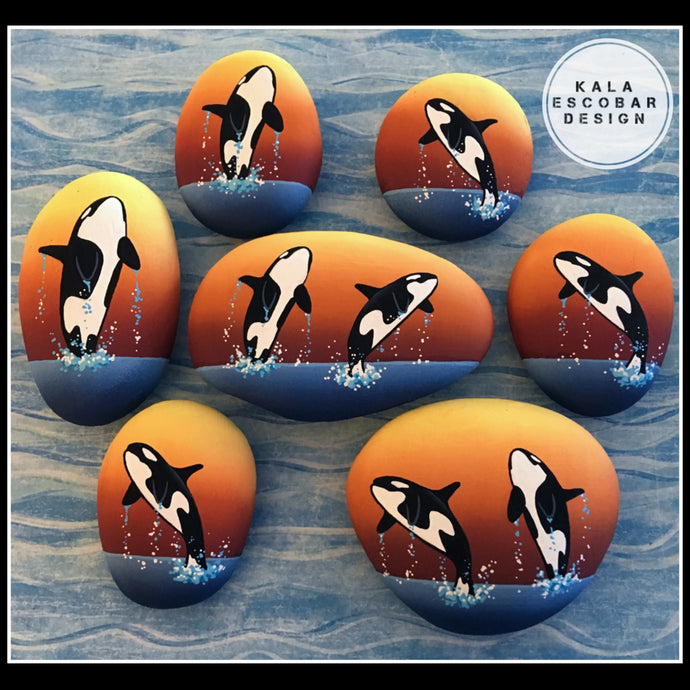 Orca Sunset Rocks