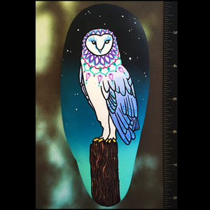 Owl Princess Rock