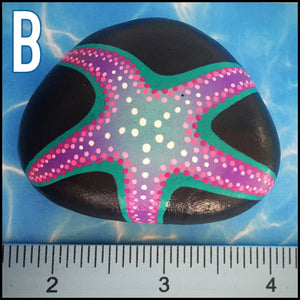 Starfish Rocks