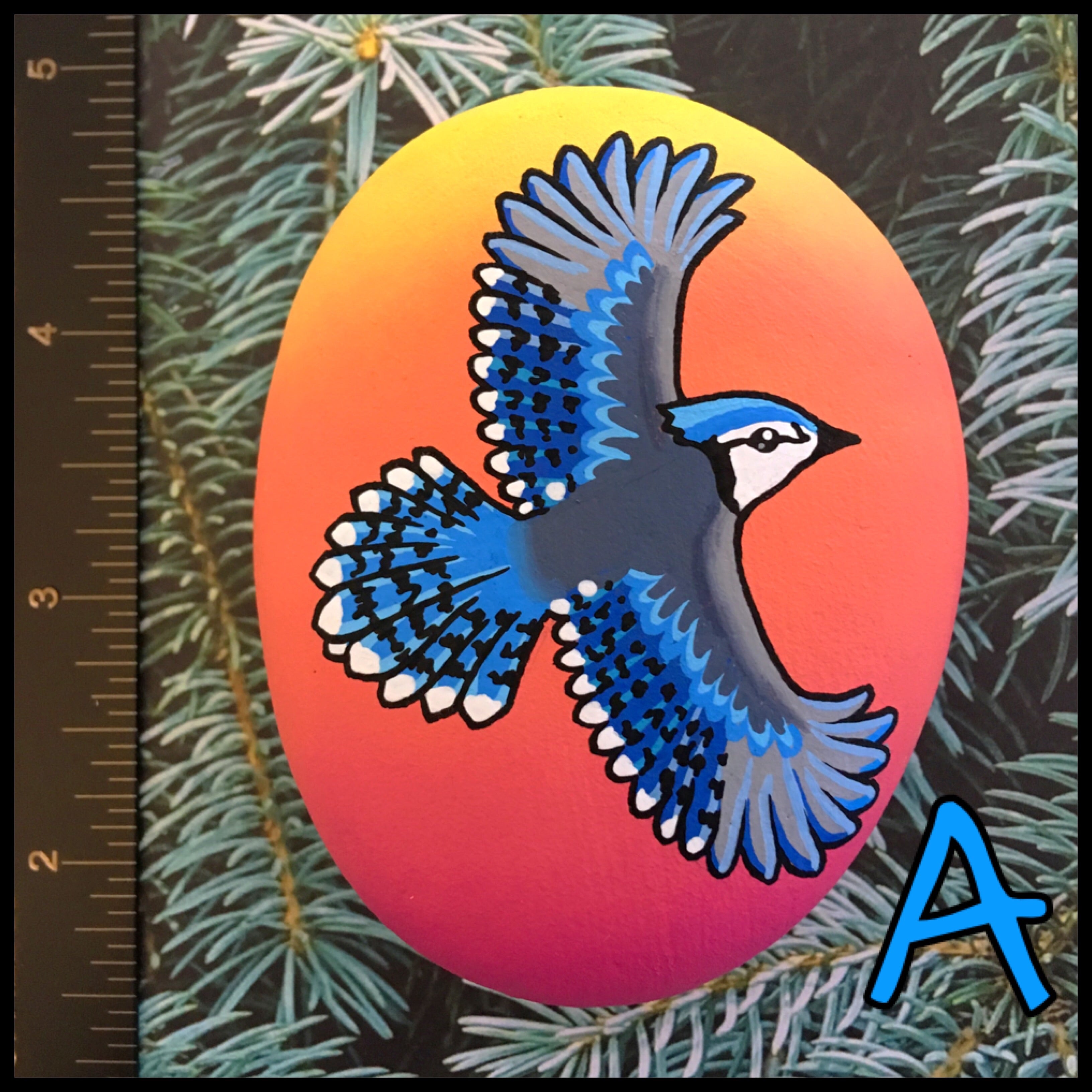 トロント・ステンドグラス Blue Jay ブルージェイ アオカケス